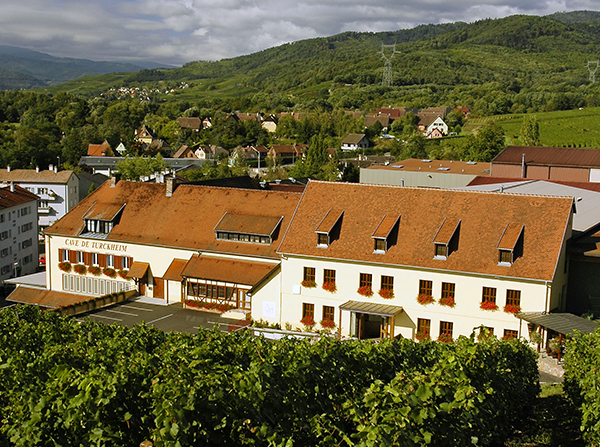 カーヴ ・ド・ トルクハイム